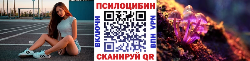 купить   ссылка на мегу рабочий сайт  Галлюциногенные грибы Magic Shrooms  Людиново 