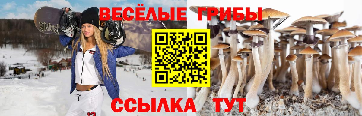 Людиново  Псилоцибиновые грибы GOLDEN TEACHER  Вход с VPN 